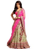Fashionable lehenga choli | Sale
