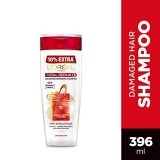 Fashionable loreal shampoo | Discount
