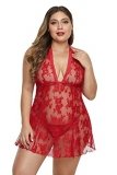 Beautiful plus size lingerie for women | Sale