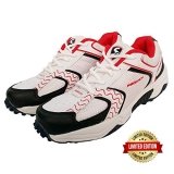 Beautiful cricket shoes for men with spikes | Best Price