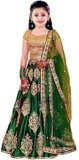 Fashionable lehenga choli for girls | Discount