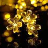 Amazing decorations for the home | Sale